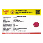 Ruby - 9.25 Carat - Pramogh
