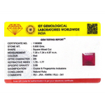 Ruby - 4.8 Carat - Pramogh
