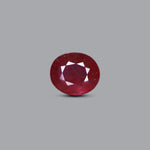 Thailand Ruby - 6 Carat - Pramogh