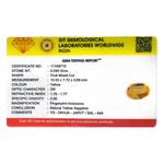 Yellow Sapphire - 2.7 Carat