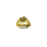 Yellow Sapphire - 2.85 Carat