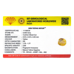 Yellow Sapphire - 3.2 Carat