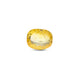 Srilankan Yellow Sapphire - 3.1 Carat - Pramogh