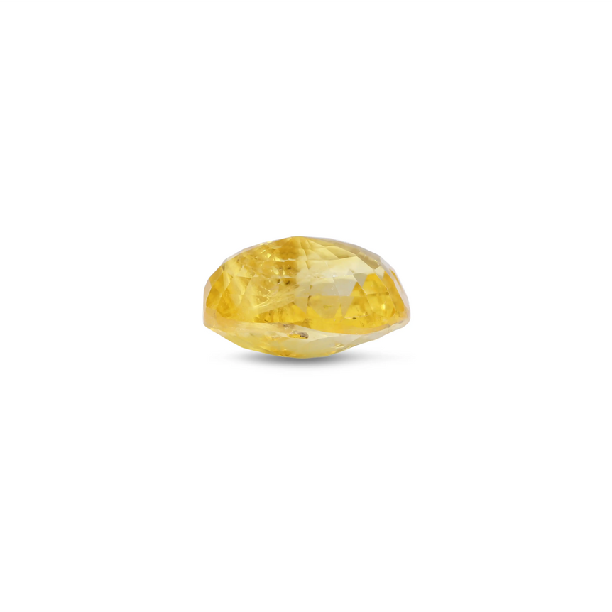 Yellow Sapphire - 3.1 Carat