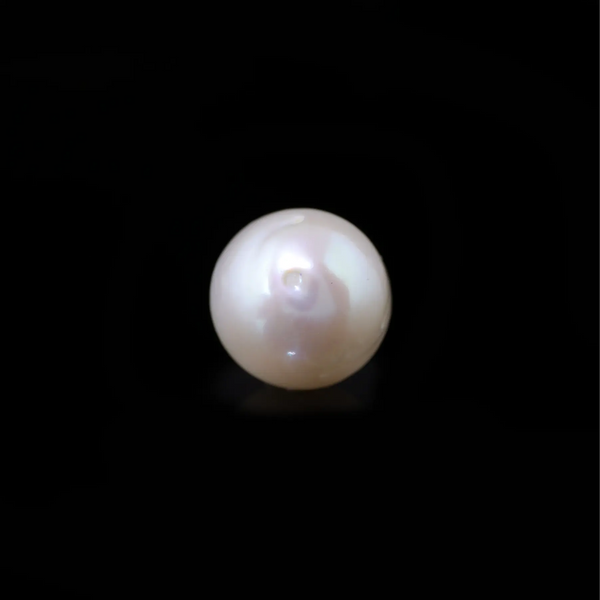 Pearl - 9.75 Carat