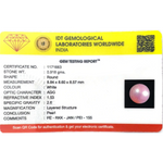Pearl - 4.59 Carat - Pramogh