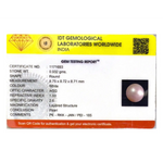 Pearl - 4.66 Carat - Pramogh