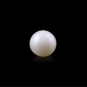 Pearl - 4.69 Carat  - Pramogh