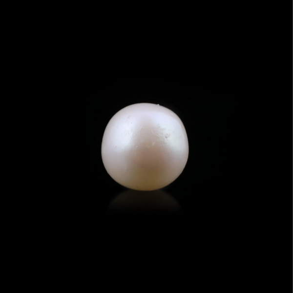 Pearl - 4.8 Carat