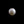 Load image into Gallery viewer, South Sea Pearl - 7.6 Carat  - Pramogh
