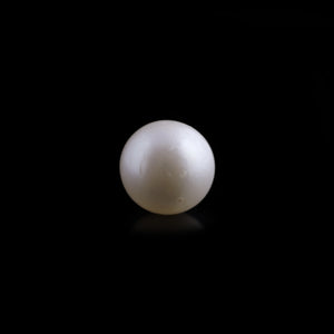 South Sea Pearl - 7.3 Carat  - Pramogh