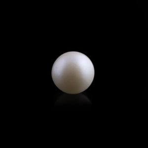 South Sea Pearl - 7.8 Carat  - Pramogh