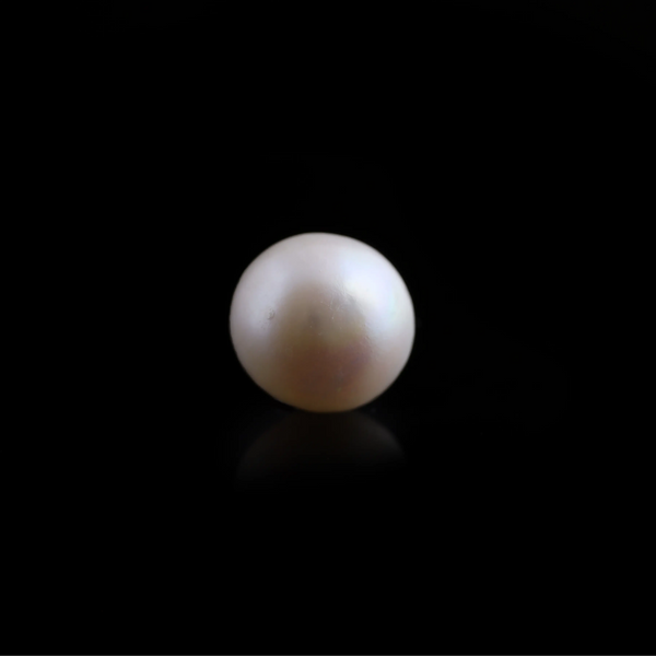 South Sea Pearl - 6.3 Carat  - Pramogh