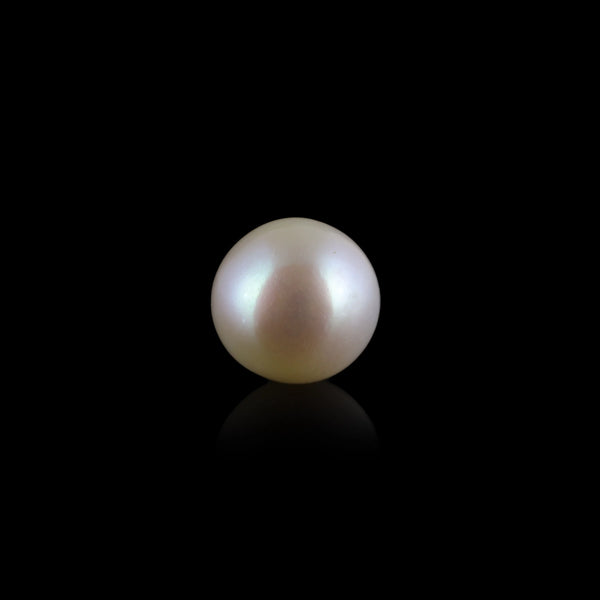 Pearl - 3.7 Carat - Pramogh