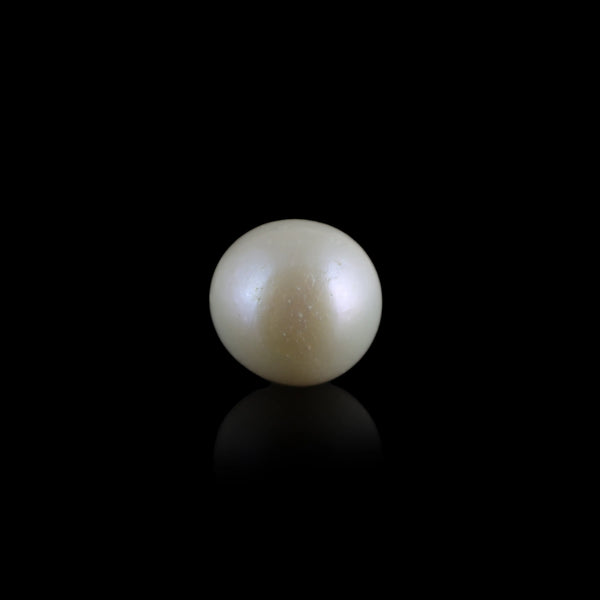 Pearl - 8.1 Carat - Pramogh