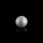 Pearl - 7.35 Carat - Pramogh