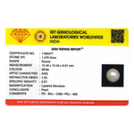 Pearl - 7.35 Carat - Pramogh