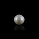 Pearl - 7.3 Carat - Pramogh