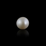 Pearl - 8.15 Carat - Pramogh