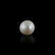 Pearl - 8.15 Carat - Pramogh