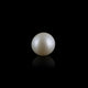 Pearl - 7.4 Carat - Pramogh
