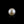 Load image into Gallery viewer, South Sea Pearl - 7.45 Carat  - Pramogh
