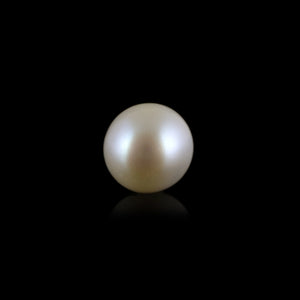 South Sea Pearl - 7.45 Carat  - Pramogh