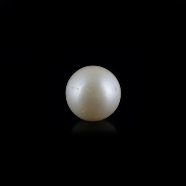 Pearl - 7.9 Carat