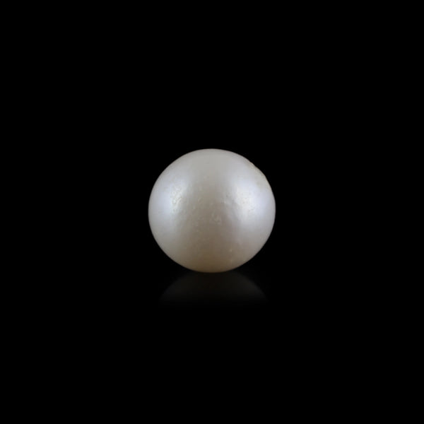 South Sea Pearl - 6.7 Carat  - Pramogh