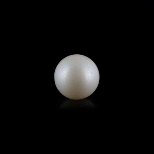 South Sea Pearl - 7.65 Carat  - Pramogh