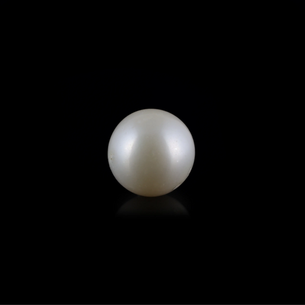 South Sea Pearl - 7.05 Carat  - Pramogh