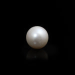 South Sea Pearl  - 5.25 Carat  - Pramogh