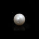 South Sea Pearl  - 5.25 Carat  - Pramogh