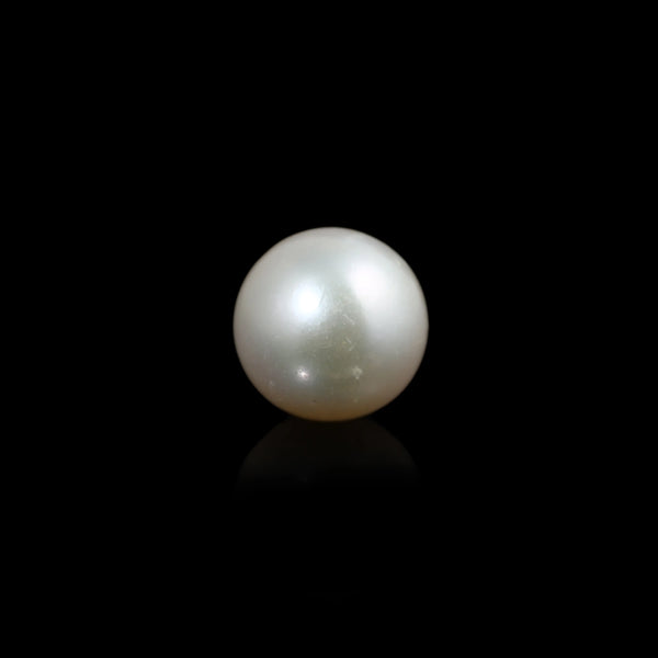 South Sea Pearl  - 5.85 Carat  - Pramogh