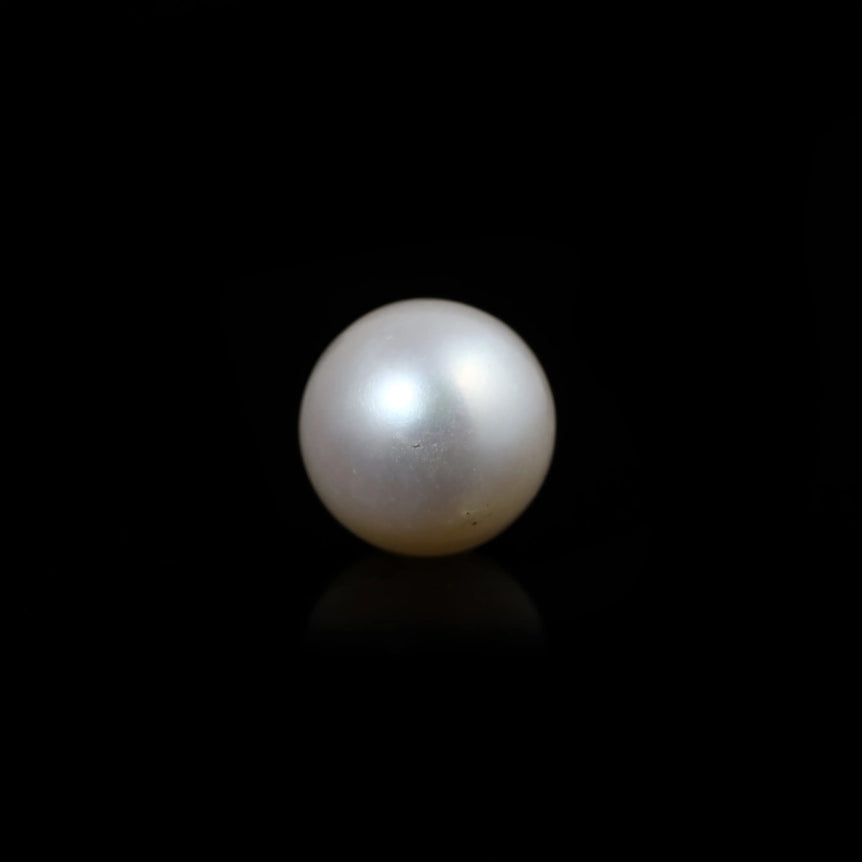South Sea Pearl  - 5.5 Carat  - Pramogh