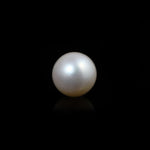 South Sea Pearl  - 5.5 Carat  - Pramogh