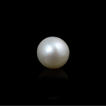 South Sea Pearl  - 5.25 Carat  - Pramogh