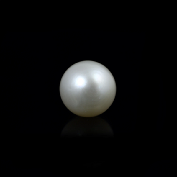 South Sea Pearl  - 9.8 Carat  - Pramogh