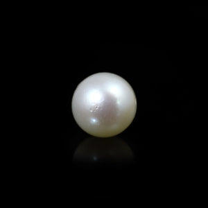 South Sea Pearl  - 10 Carat  - Pramogh