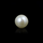 South Sea Pearl  - 9.3 Carat  - Pramogh
