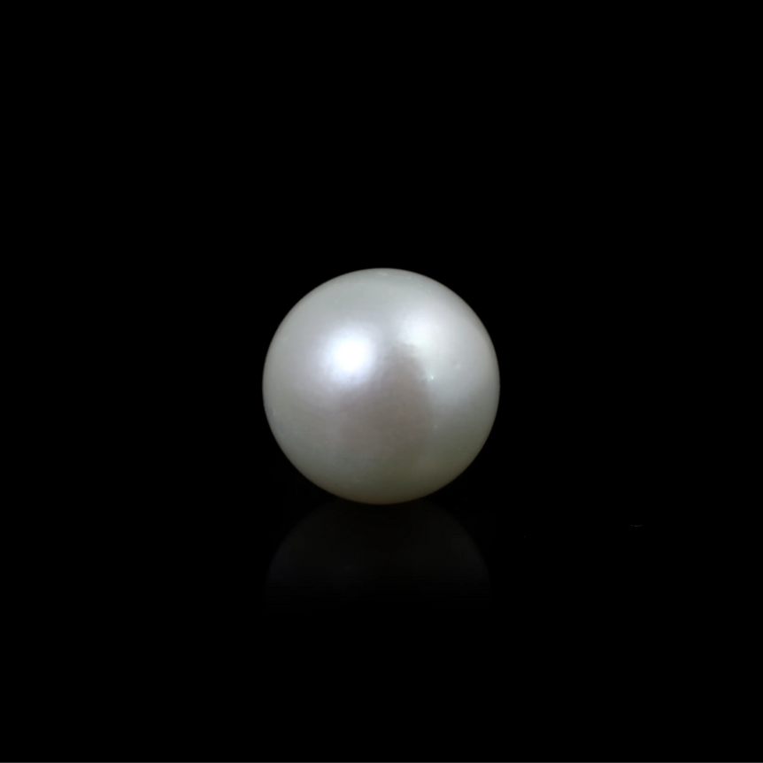 South Sea Pearl  - 9.7 Carat  - Pramogh