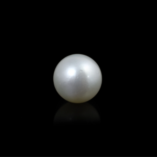 Pearl - 9.8 Carat