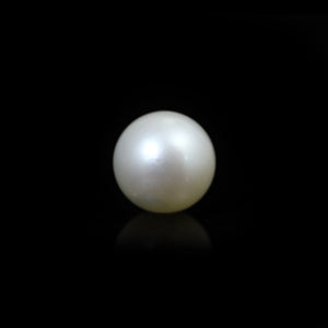South Sea Pearl  - 9.9 Carat  - Pramogh