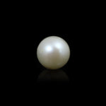 South Sea Pearl  - 9.5 Carat  - Pramogh