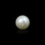 Pearl - 9.5 Carat