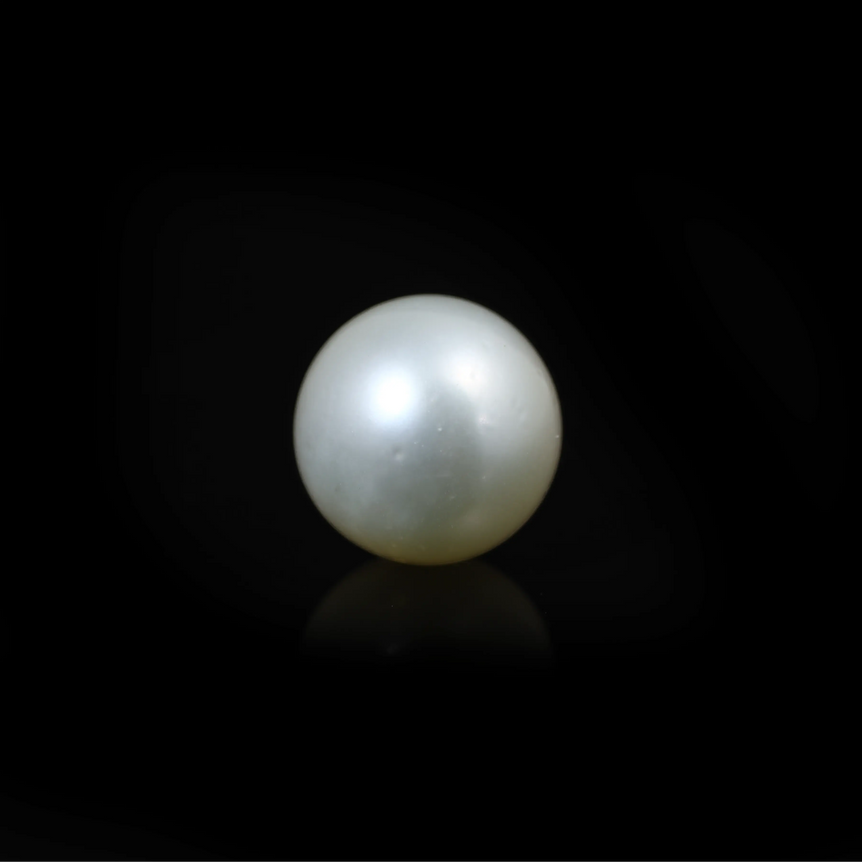 South Sea Pearl  - 9 Carat  - Pramogh