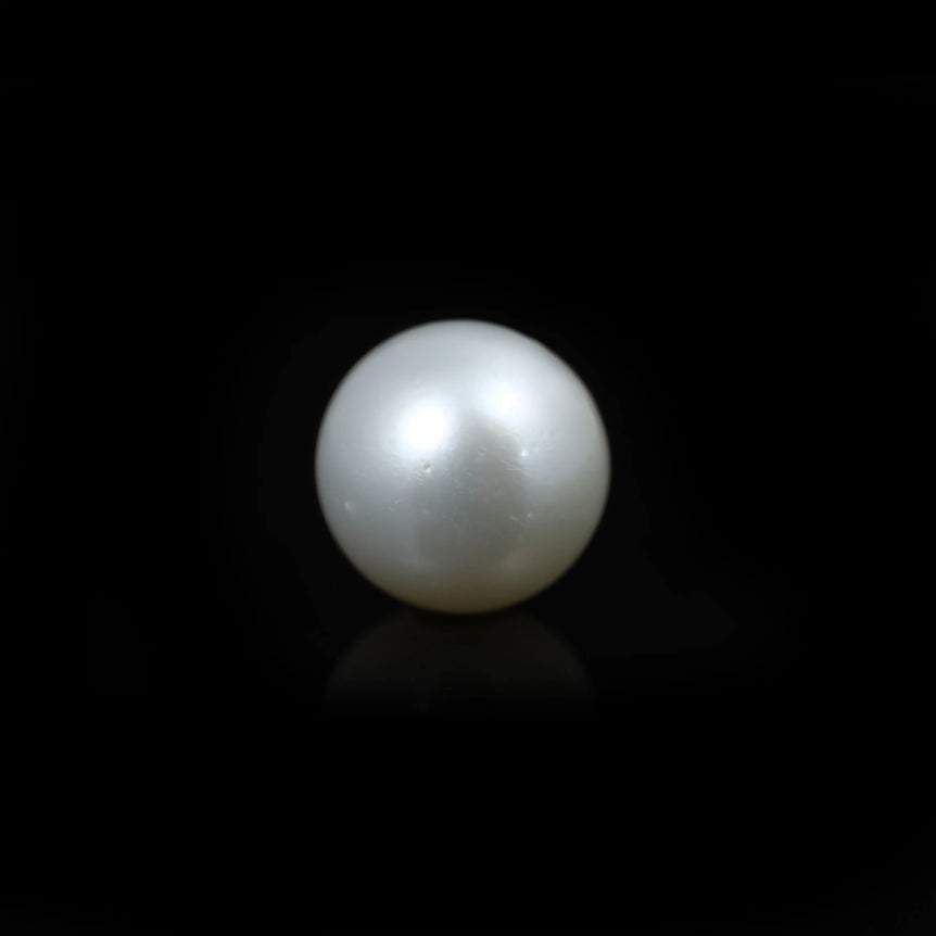 South Sea Pearl  - 11.8 Carat  - Pramogh