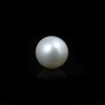 South Sea Pearl  - 11.8 Carat  - Pramogh