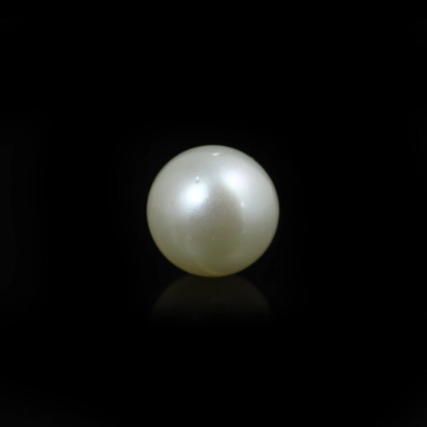 South Sea Pearl  - 10 Carat  - Pramogh