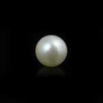 South Sea Pearl  - 10 Carat  - Pramogh